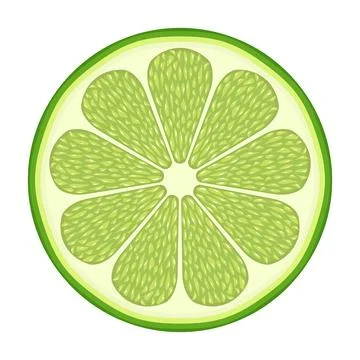 Fresh Lime Slice Vector Illustration Stock Illustration