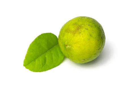 Fresh lime on white background Stock Photos