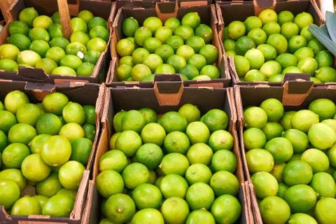 Fresh limes in boxes Stock Photos