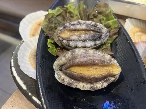 Fresh live abalone Stock Photos