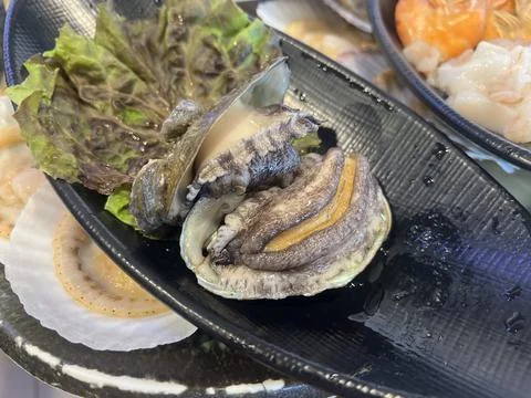 Fresh live abalone Stock Photos