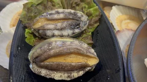 Fresh live abalone Stock Photos