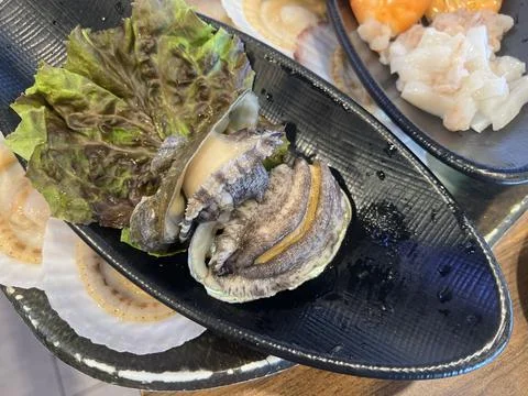 Fresh live abalone Stock Photos