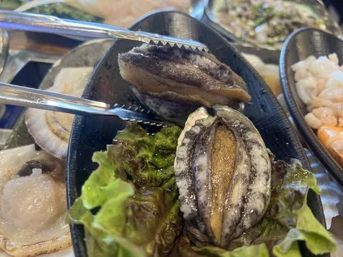 Fresh live abalone Stock-Fotos