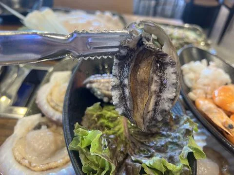 Fresh live abalone Stock Photos