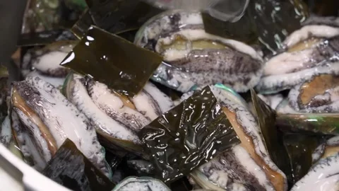 Fresh Live Abalone Prepared with Kelp for Gourmet Cooking Stockbeeldmateriaal 333526698