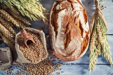 Fresh loaf of bread for breakfast Stock Photos