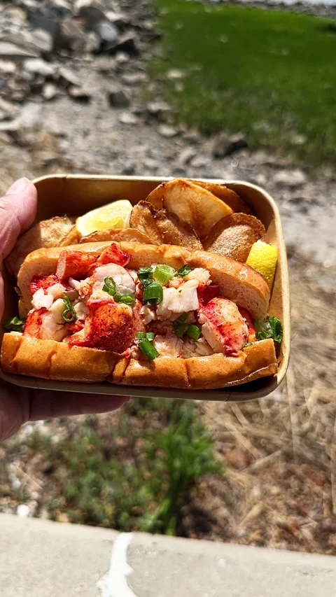 Fresh lobster roll with potato chips and lemon Видео 338044426