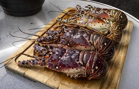 Fresh lobsters on kitchen table. Stock Photos