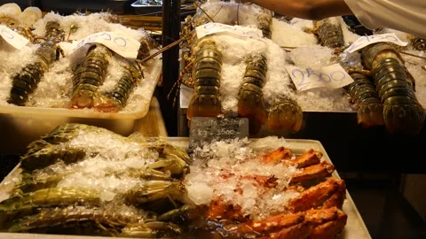 Fresh lobsters on the stall Stock-Footage 330670483