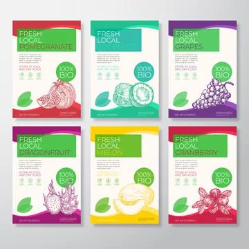 Fresh Local Fruit and Berries Labels Packaging Design Layout Collection. Vector Stock Illustration