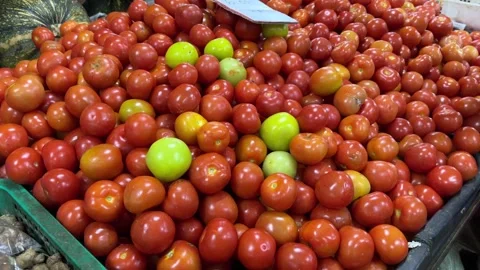Fresh local tomato sold at vegetable market Tawau Sabah Malaysia  Stock Footage 242578127