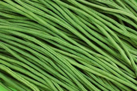 Fresh Long Yard Beans Stock Photos