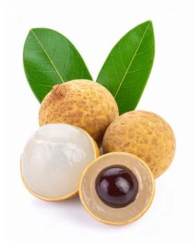 Fresh longan fruit with brown shell and juicy flesh, isolated on pure white.. Stock Photos