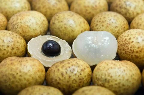 Fresh longan fruit Stock Photos