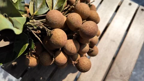 Fresh Longans on Rustic Table Stock Footage 306919438