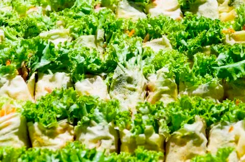 Fresh lumpia Foto stock
