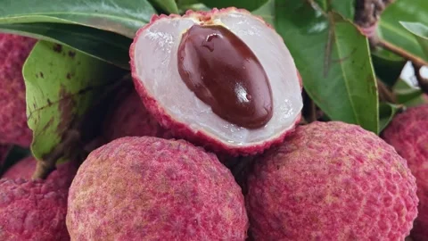 Fresh Lychee Fruit. Zoom in. Stock Footage 310550615
