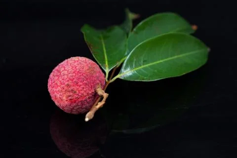 Fresh lychees Stock Photos