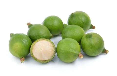 Fresh macadamia nut on white background Stock Photos