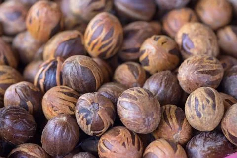 Fresh mace and nutmeg with selective focus Stock Photos
