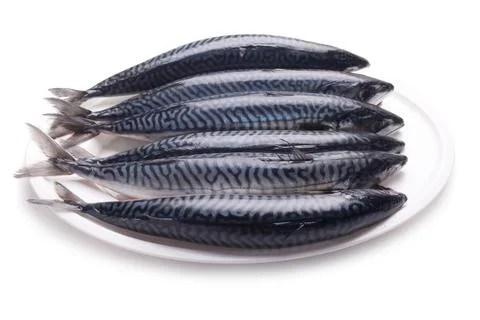 Fresh mackarel Stock Photos