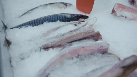Fresh mackerel and fish fillets on ice Vidéo 343870732