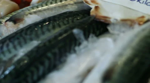 Fresh Mackerel Fish on Fish Counter Stock Footage 48380997