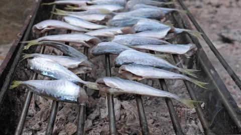 Fresh mackerel fish grilling on a charcoal barbecue Stock Footage 337000953