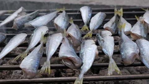 Fresh mackerel fish grilling on a charcoal barbecue Stock Footage 337065642