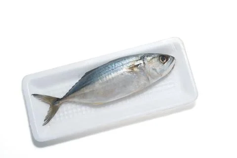 Fresh mackerel fish pack Stock Photos