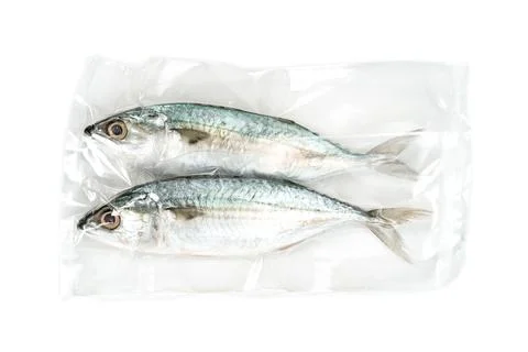 Fresh mackerel fish with vacuum plastic bag isolated on white background Stock Photos