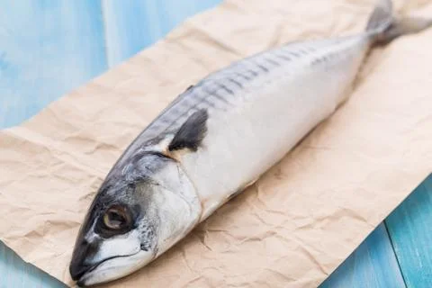 Fresh mackerel on a paper Stock Photos
