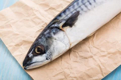 Fresh mackerel on a paper Stock Photos