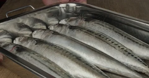 Fresh mackerels in a roasting tin closeup Stock Footage 152641906