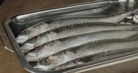 Fresh mackerels in a roasting tin closeup Stock Footage 155348008