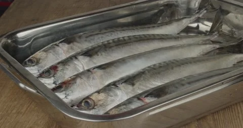 Fresh mackerels in a roasting tin closeup Stock Footage 157166485