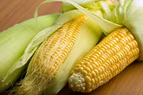 Fresh maize with water droplets Stock Photos