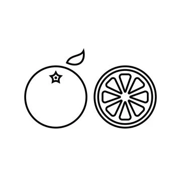 Fresh mandarin fruit vector icon outline. EPS 10. Tropical fruits illustratio Stock Illustration