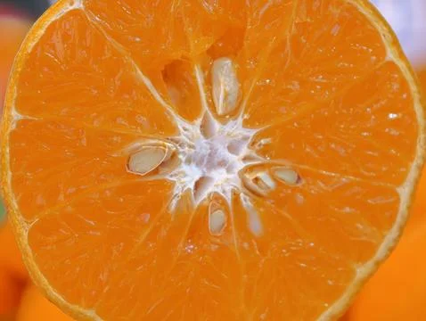 Fresh mandarin orange cross section macro closeup Stockfoto's