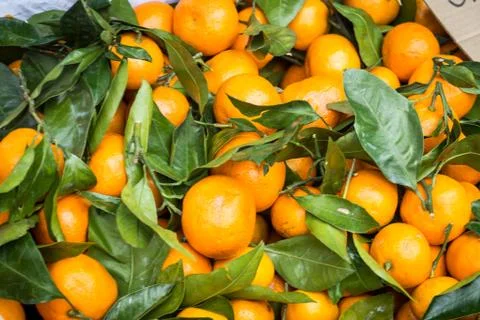 Fresh mandarin oranges texture Stock Photos