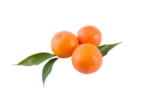Fresh mandarines isolated on white background. Oranges are arranged in rows. Stock Photos