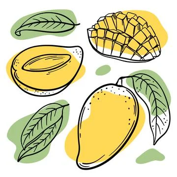 FRESH MANGO Delicious Fruit Hand Drawn Vector Illustration Set Stock Illustration