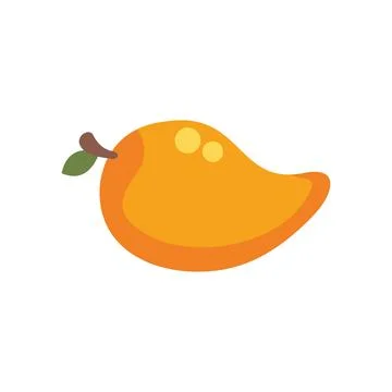 Fresh mango fruit with leaf still growing on branch Stock Illustration