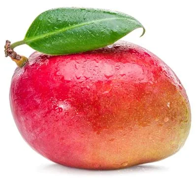 Fresh mango with green leaf on white background Stock Photos