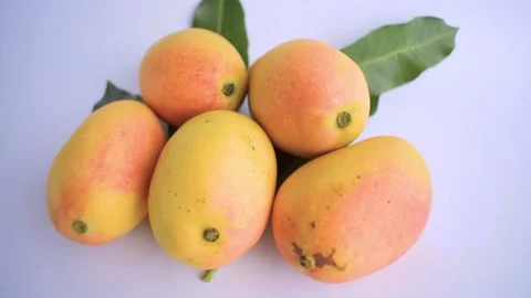Fresh mango high in vitamins Stock Footage 163944669