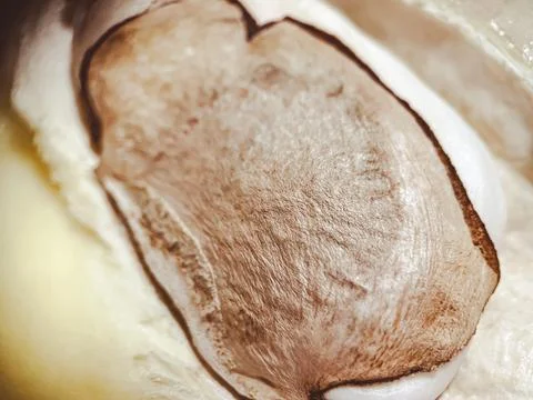 Fresh mango macro. The fruit pit is visible in detail Stock Photos