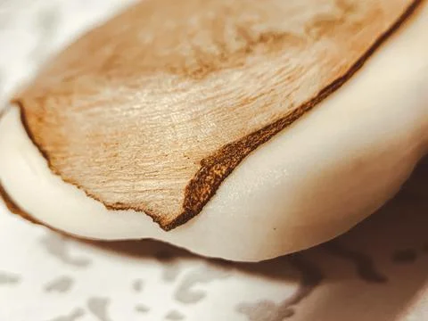 Fresh mango macro. The fruit pit is visible in detail Stock Photos