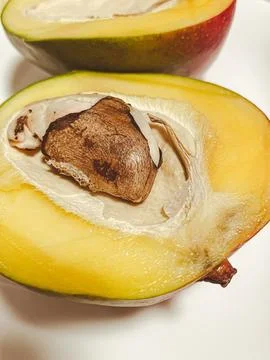 Fresh mango macro. The fruit pit is visible in detail Stock Photos