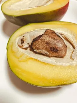 Fresh mango macro. The fruit pit is visible in detail Stock Photos